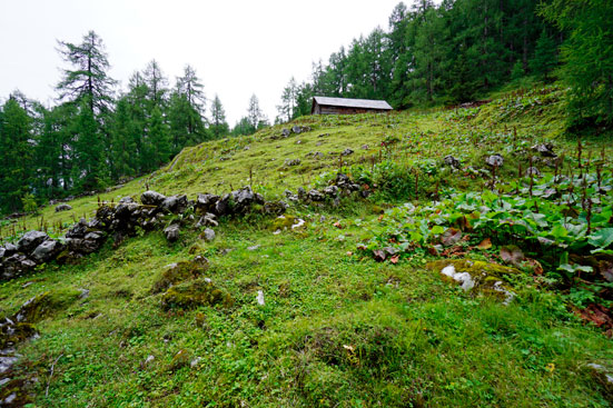 Denudationsmessungen an einem Steinhag. Dachsteingebirge. ANISA, Verein für alpine Forschung. 2014
