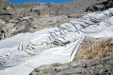 Gletscherzustandsbericht Schladminger und Hallsttter Gletscher, Dachsteingebirge. ANISA, Verein fr alpine Forschung 2016