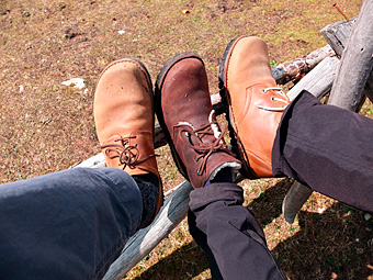 Almwandern mit Waldviertler Wanderschuhen 2014