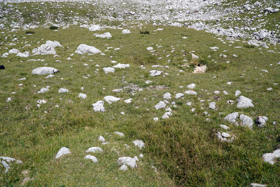 Denudationsmessungen von Bausteinen, Karsttischen und Steintauben. ANISA, Verein für alpine Forschung. 2015, F. Mandl