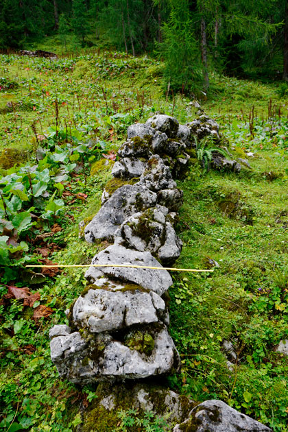 Denudationsmessungen an einem Steinhag. Dachsteingebirge. ANISA, Verein für alpine Forschung. 2014