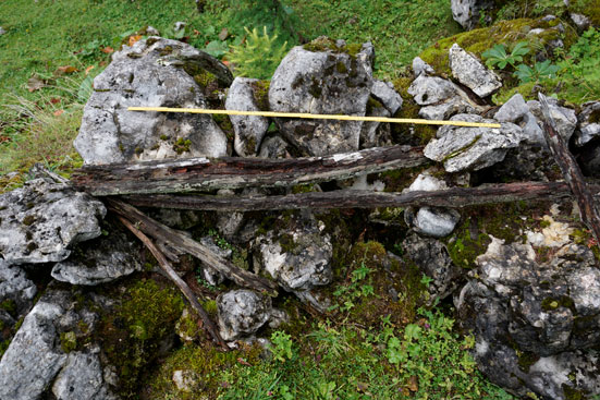 Denudationsmessungen an einem Steinhag. Dachsteingebirge. ANISA, Verein für alpine Forschung. 2014