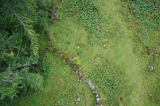 Denudationsmessungen an einem Steinhag. Dachsteingebirge. ANISA, Verein für alpine Forschung. 2014