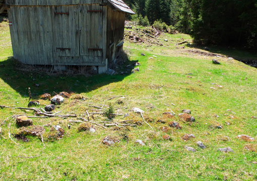 Steinstrukturen, Denudationsmessungen im Kammergebirge, Dachstein, ANISA, 2014