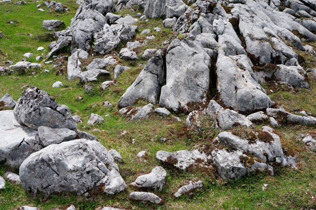 Denudationsprojekt der ANISA Nr. 6. Alm im Kammergebirege. Dachstein. 2014