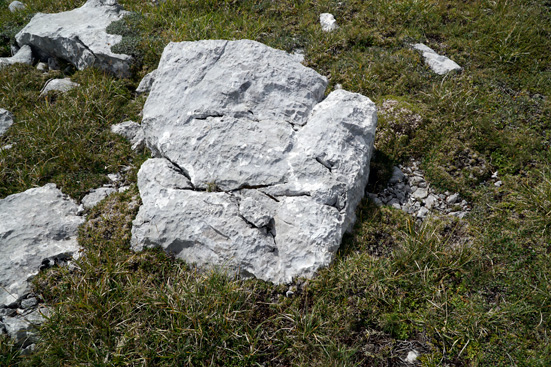 Denudationsmessungen von Bausteinen, Karsttischen und Steintauben. ANISA, Verein für alpine Forschung. 2015, F. Mandl