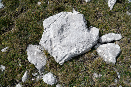 Denudationsmessungen von Bausteinen, Karsttischen und Steintauben. ANISA, Verein für alpine Forschung. 2015, F. Mandl