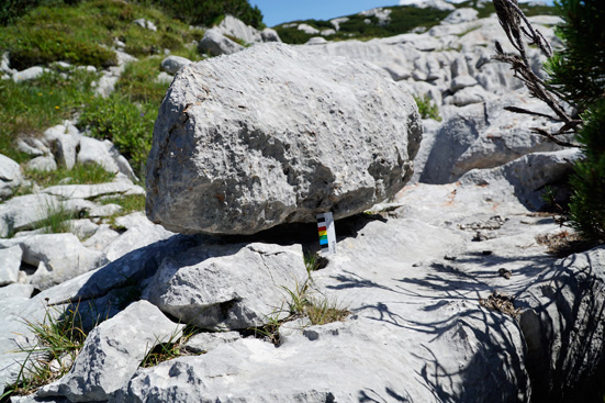 Denudationsmessungen von Bausteinen, Karsttischen und Steintauben. ANISA, Verein für alpine Forschung. 2015, F. Mandl