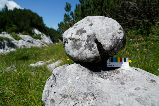 Denudationsmessungen von Bausteinen, Karsttischen und Steintauben. ANISA, Verein für alpine Forschung. 2015, F. Mandl