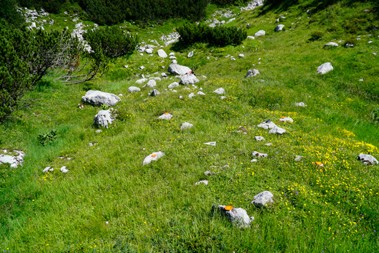 Denudationsmessungen von Bausteinen, Karsttischen und Steintauben. ANISA, Verein für alpine Forschung. 2015, F. Mandl