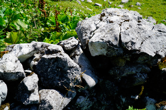 Denudationsmessungen von Bausteinen, Karsttischen und Steintauben. ANISA, Verein für alpine Forschung. 2015, F. Mandl