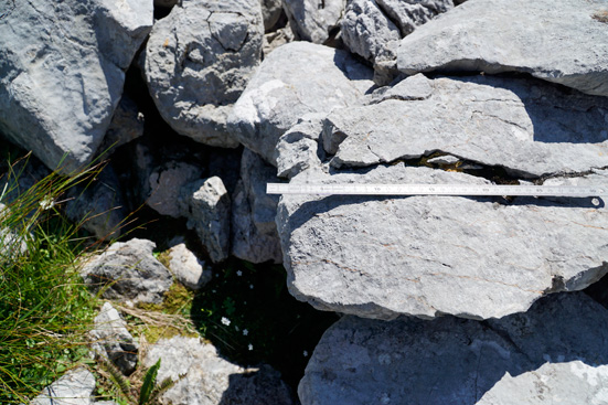 Denudationsmessungen von Bausteinen, Karsttischen und Steintauben. ANISA, Verein für alpine Forschung. 2015, F. Mandl