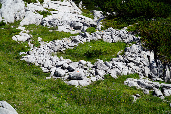 Denudationsmessungen von Bausteinen, Karsttischen und Steintauben. ANISA, Verein für alpine Forschung. 2015, F. Mandl