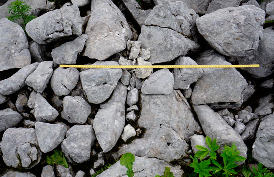 Denudationsforschung auf Steinen aus Dachsteinkalk in direktem Bezug zu hoachalpinen Wüstungen. ANISA, Verein für alpine Forschgung 2014