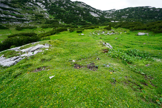 Denudationsforschung auf Steinen aus Dachsteinkalk in direktem Bezug zu hoachalpinen Wüstungen. ANISA, Verein für alpine Forschgung 2014