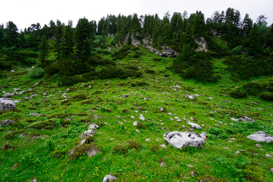 Denudationsforschung auf Steinen aus Dachsteinkalk in direktem Bezug zu hoachalpinen Wüstungen. ANISA, Verein für alpine Forschgung 2014