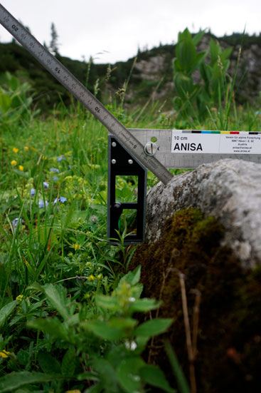 Denudationsforschung auf Steinen aus Dachsteinkalk in direktem Bezug zu hoachalpinen Wüstungen. ANISA, Verein für alpine Forschgung 2014