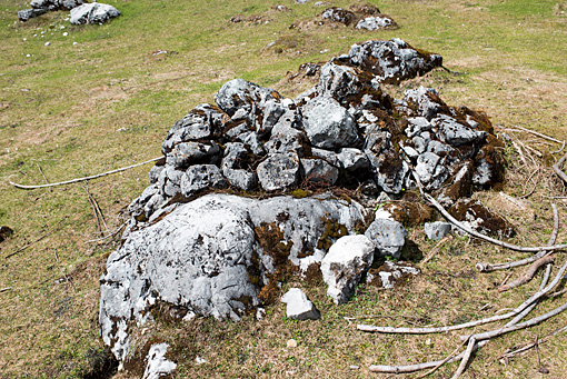 Denudation von Kalkgestein auf dem Dachsteingebirge. Datierungsversuche mit Kantenauflösungen von einem Steinhag auf der Viehbergalm. ANISA, Franz Mandl 2014