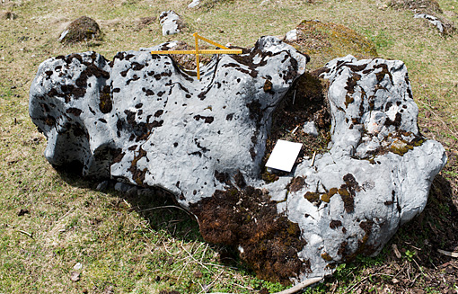 Denudation von Kalkgestein auf dem Dachsteingebirge. Datierungsversuche mit Kantenauflösungen von einem Steinhag auf der Viehbergalm. ANISA, Franz Mandl 2014