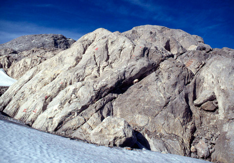 Gletscherzustandsbericht des Schladminger und Hallsttter Gletschers 1999. Dachsteingebirge. ANISA, Verein fr alpine Forschung