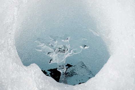 ANISA, Verein für alpine Forschung. Fotografie von Franz Mandl 2020