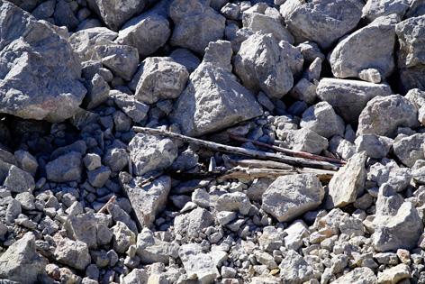 ANISA, Verein für alpine Forschung. Fotografie von Franz Mandl 2020