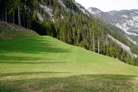 Jagd und Luxus und Allgemeinheit. Dachsteingebirge 2015