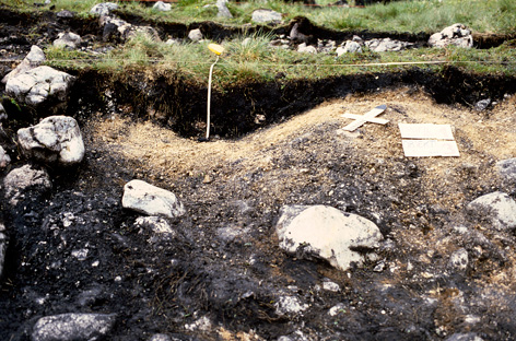 30 Jahre interdisziplinre Forschungen auf der Lackenmoosalm. 1984 - 2014. ANISA, Verein fr alpine Forschung