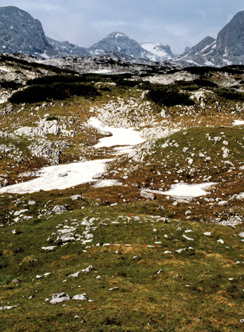 30 Jahre interdisziplinre Forschungen auf der Lackenmoosalm. 1984 - 2014. ANISA, Verein fr alpine Forschung