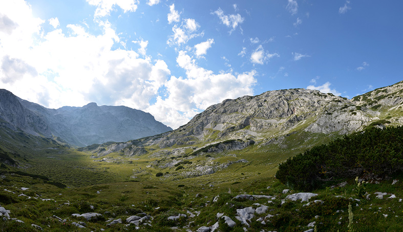 Hochalpine Wüstungsforschung. Archäologie in den Alpen. Projekt der ANISA und des Bundesdenkmalamtes 2012-2015. Bericht über die Forschungswoche 2014.
