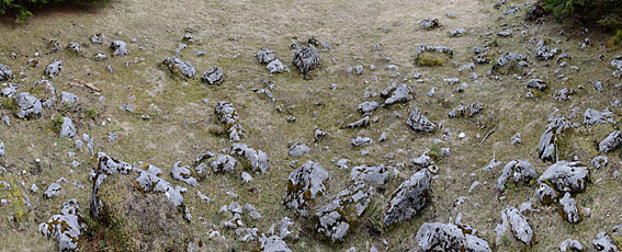 Denudationsvorgänge und Datierungsversuche auf der Viehbergalm. Dachsteingebirge, Steiermark. ANISA, Verein für alpine Forschung