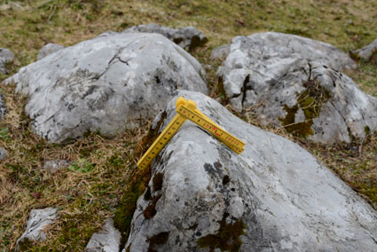 Denudationsvorgänge und Datierungsversuche auf der Viehbergalm. Dachsteingebirge, Steiermark. ANISA, Verein für alpine Forschung