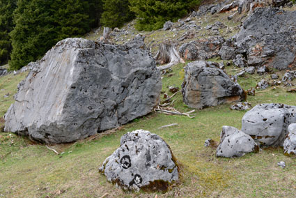 Denudationsvorgänge und Datierungsversuche auf der Viehbergalm. Dachsteingebirge, Steiermark. ANISA, Verein für alpine Forschung