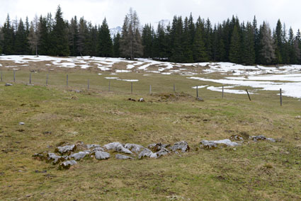 Denudationsvorgänge und Datierungsversuche auf der Viehbergalm. Dachsteingebirge, Steiermark. ANISA, Verein für alpine Forschung