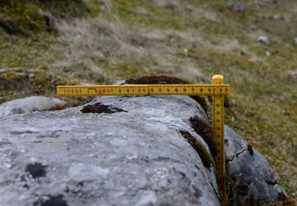 Denudationsvorgänge und Datierungsversuche auf der Viehbergalm. Dachsteingebirge, Steiermark. ANISA, Verein für alpine Forschung