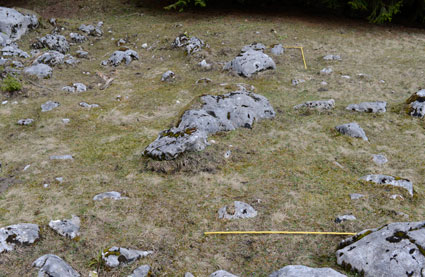 Denudationsvorgänge und Datierungsversuche auf der Viehbergalm. Dachsteingebirge, Steiermark. ANISA, Verein für alpine Forschung