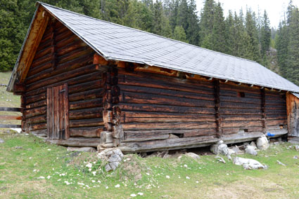 Denudationsvorgänge und Datierungsversuche auf der Viehbergalm. Dachsteingebirge, Steiermark. ANISA, Verein für alpine Forschung