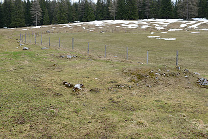 Denudationsvorgänge und Datierungsversuche auf der Viehbergalm. Dachsteingebirge, Steiermark. ANISA, Verein für alpine Forschung