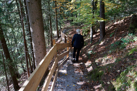 Archäologischer Wanderweg auf dem Burgstall, Ramsau am Dachstein. ANISA, Verein für alpine Forschung 2014